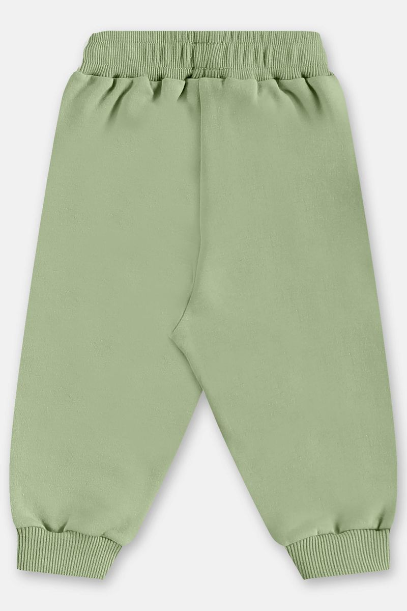 conjunto-para-bebe-menino-em-molecotton-com-estampa-de-leao-verde-up-baby