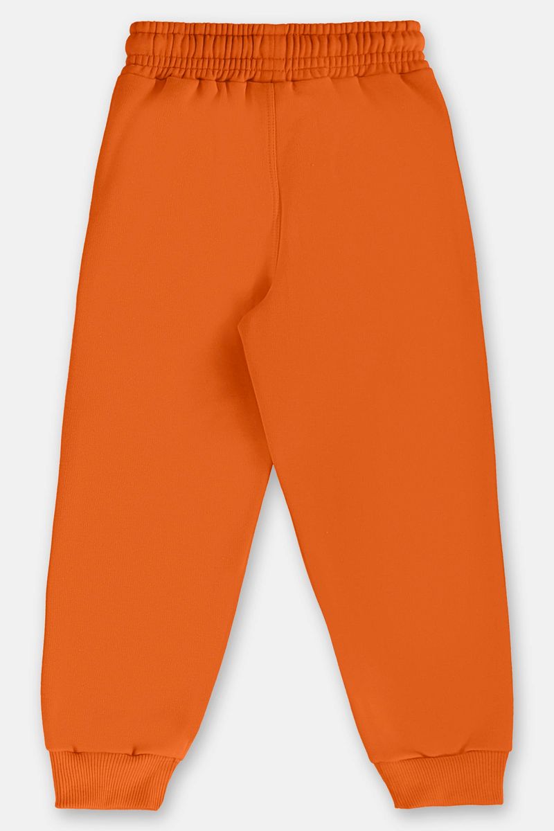 conjunto-infantil-masculino-em-moletom-sem-felpa-com-estampa-de-leao-laranja