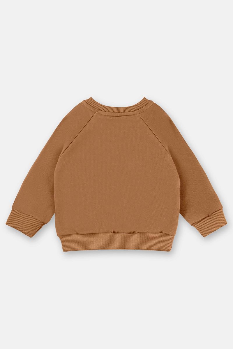 conjunto-para-bebe-menino-em-moletom-felpado-com-estampa-de-gato-marrom